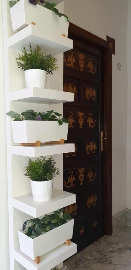 Residencia Viriato Hostel Seville Luaran gambar